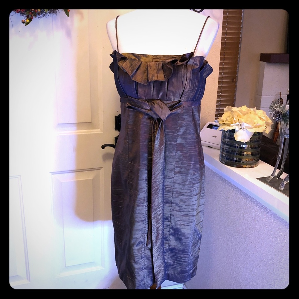 Gorgeous Cachet Brand Cocktail Dress Like New!